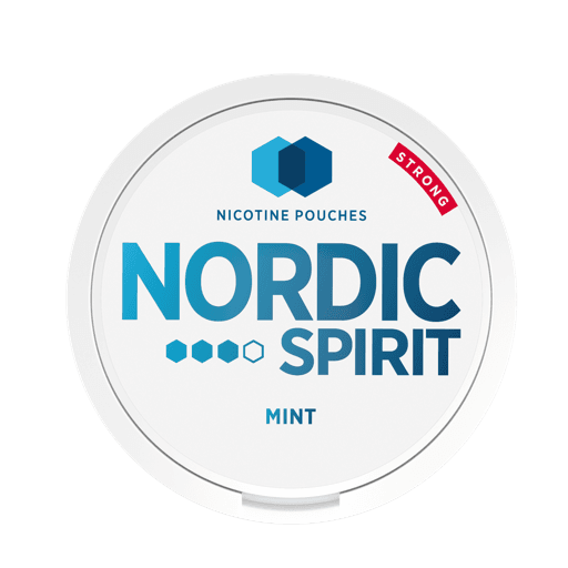 Nordic Spirit Nicotine Pouches Mint 9mg