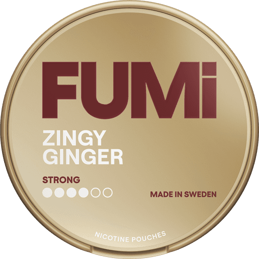 FUMi Nicotine Pouches Zingy Ginger 8mg (4/6)