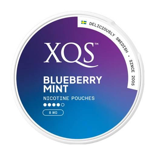 XQS Nicotine Pouches Blueberry Mint 8mg